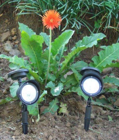 Solar spot lights. No wiring needed. Two lights